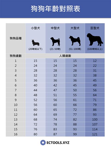 狗 15歲|狗犬與人類的年齡簡易對照換算表